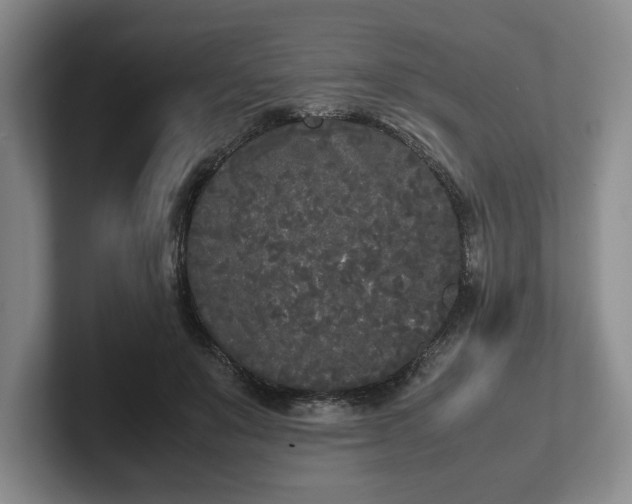 X0000102470503200808151431