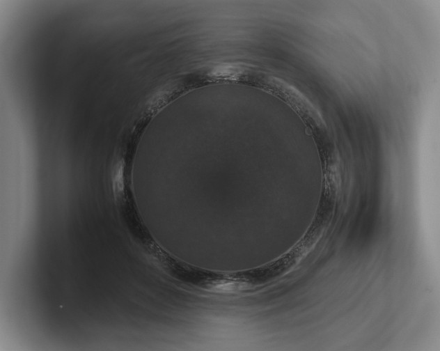 X0000102470504200808151431