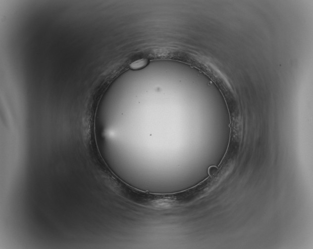 X0000102470505200808151431
