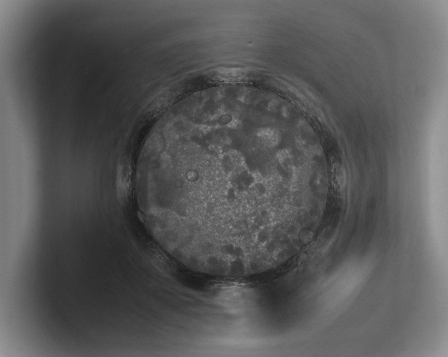 X0000102470507200808151431