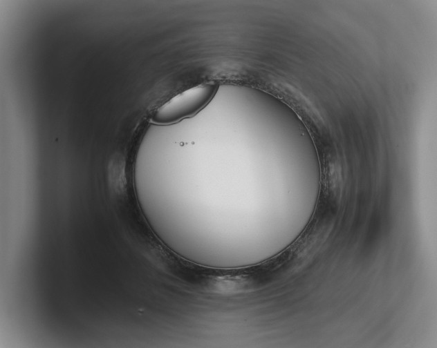 X0000102470508200808151431