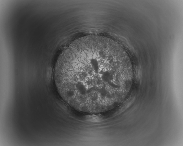 X0000102470511200808151431