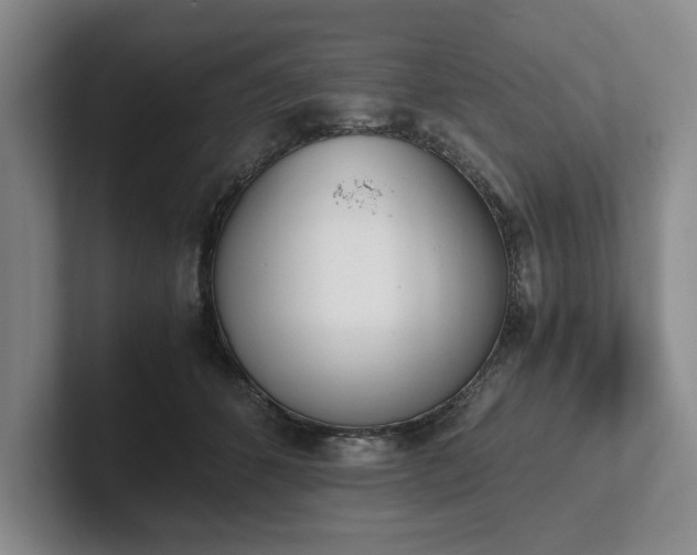 X0000102470512200808151431