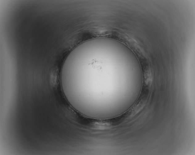 X0000102470515200808151431