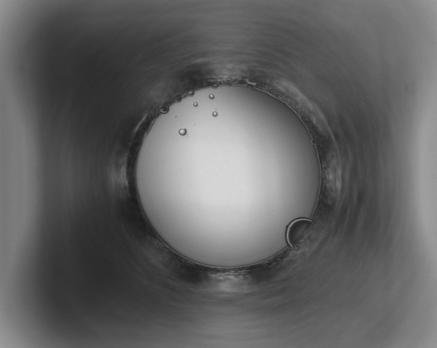 X0000102470516200808151431