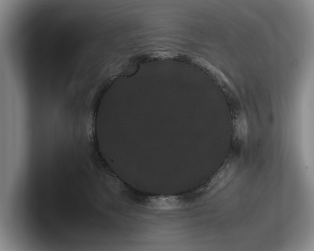 X0000102470517200808151431