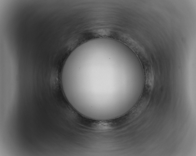 X0000102470518200808151431