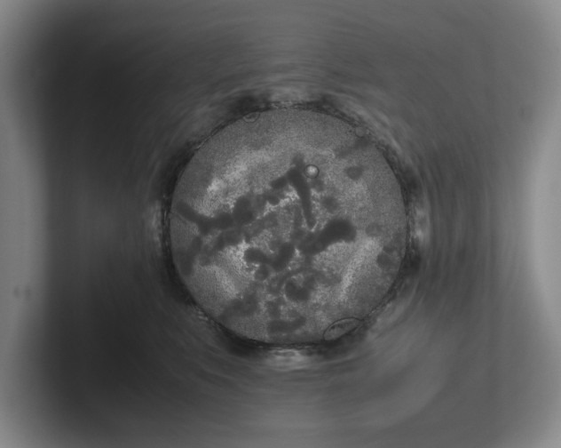 X0000102470519200808151431
