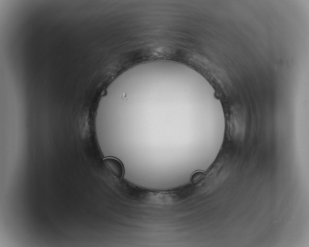 X0000102470520200808151431
