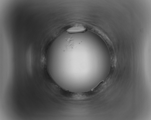 X0000102470521200808151431