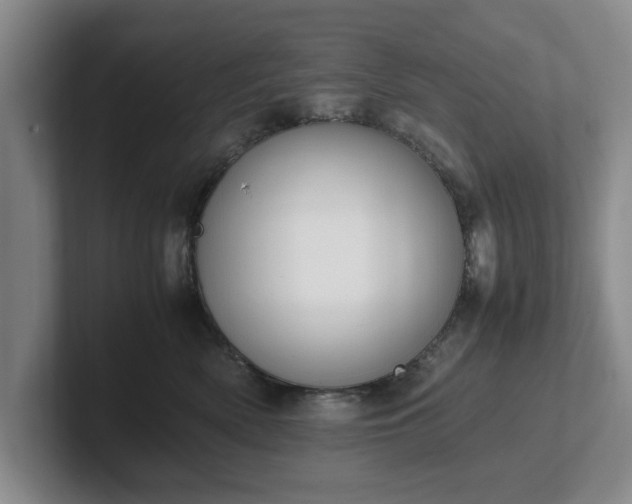 X0000102470522200808151431