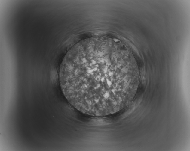 X0000102470523200808151431