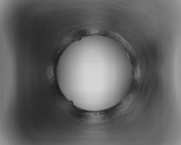 X0000102470524200808151431