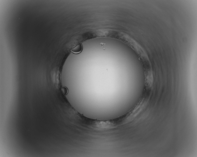 X0000102470525200808151431