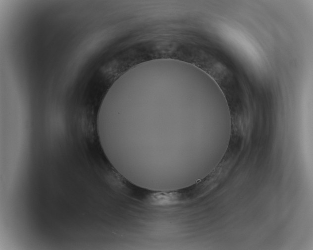 X0000102470526200808151431