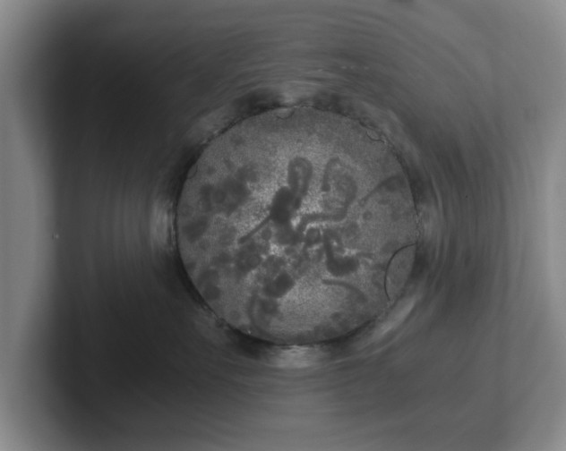 X0000102470527200808151431