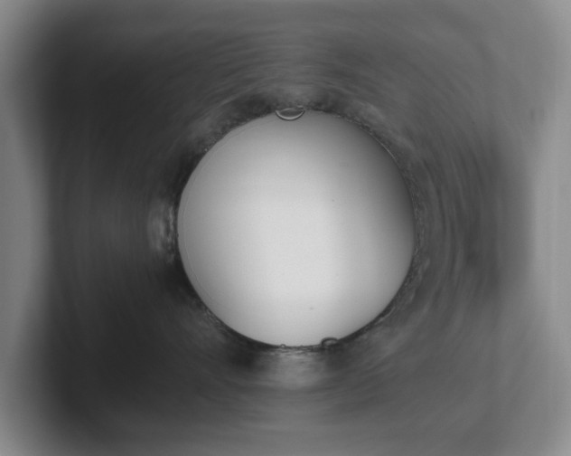 X0000102470528200808151431