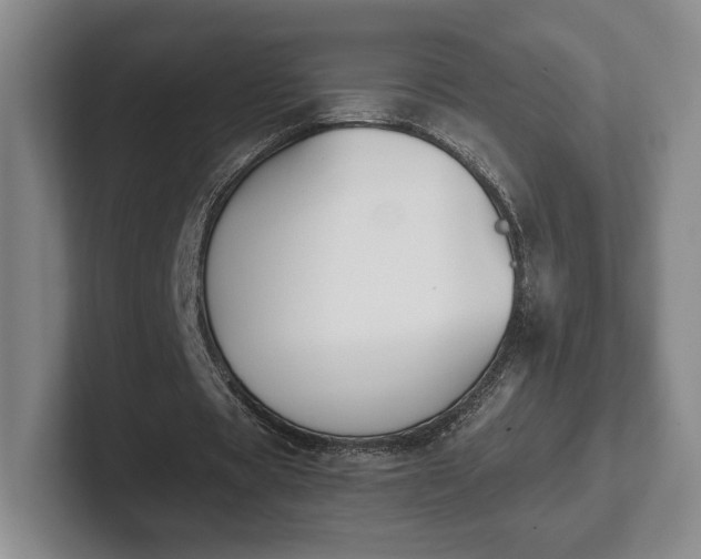 X0000102470529200808151430