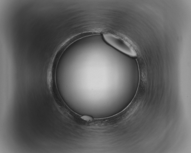 X0000102470532200808151430