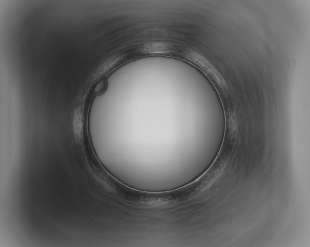 X0000102470533200808151430