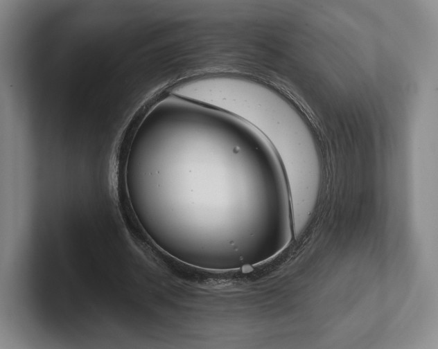 X0000102470534200808151430