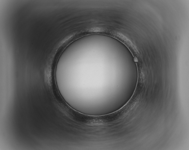 X0000102470535200808151430
