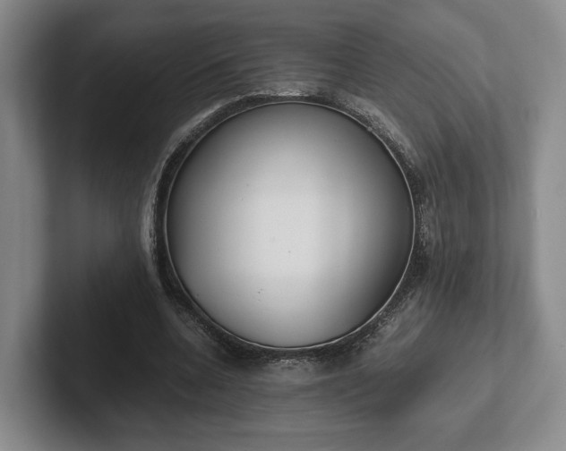 X0000102470536200808151430