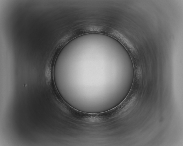 X0000102470537200808151430