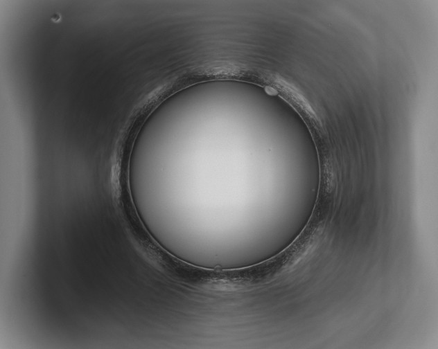 X0000102470538200808151430