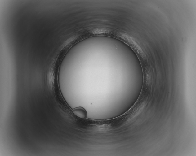 X0000102470539200808151430