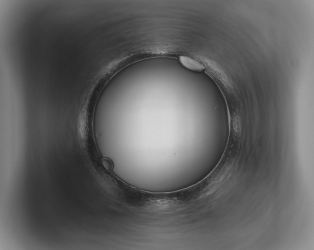 X0000102470540200808151430