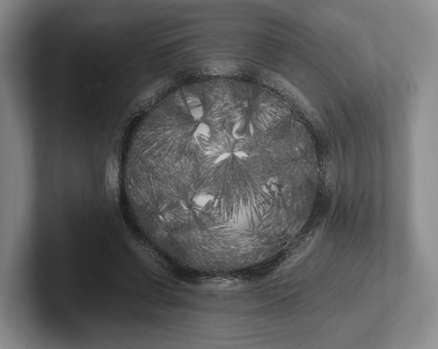 X0000102470542200808151430