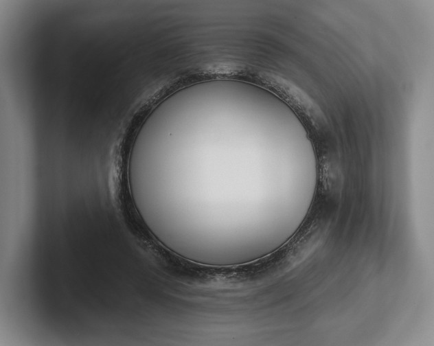 X0000102470544200808151430