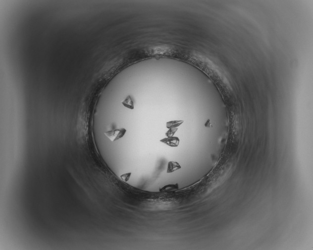 X0000102470545200808151430