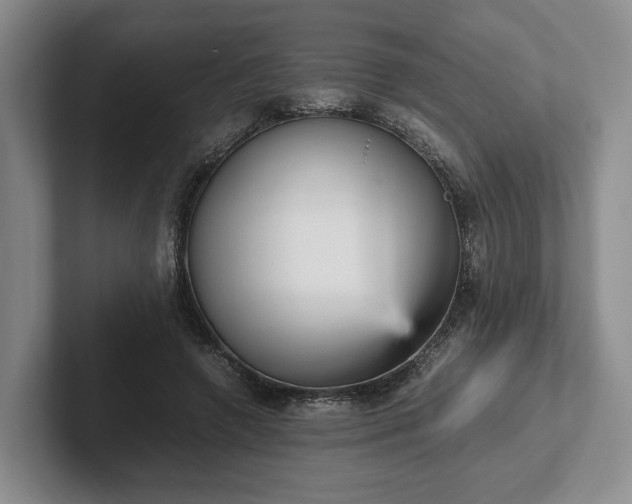 X0000102470546200808151430