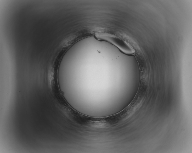 X0000102470548200808151430