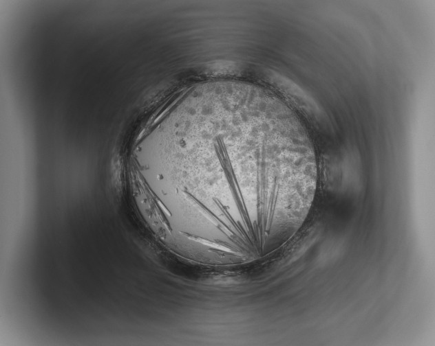X0000102470550200808151430
