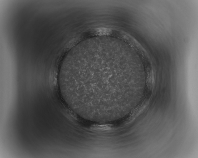 X0000102470553200808151430