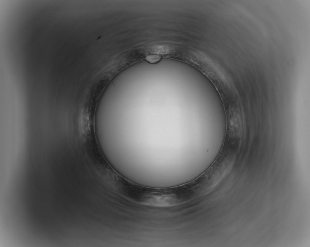 X0000102470555200808151431