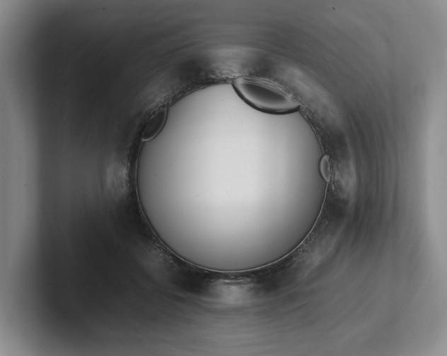 X0000102470556200808151431