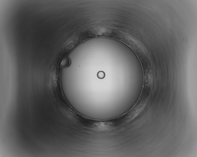 X0000102470558200808151431