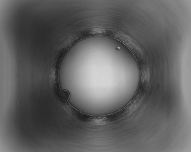 X0000102470560200808151431