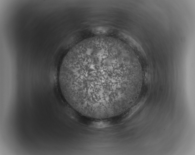 X0000102470561200808151431