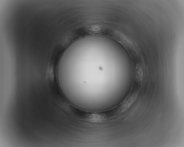 X0000102470562200808151431
