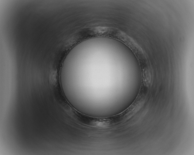 X0000102470563200808151431