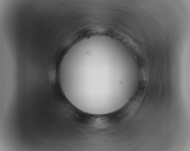 X0000102470564200808151431