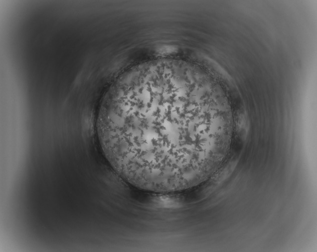 X0000102470565200808151431