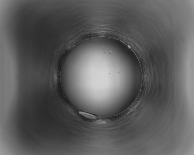 X0000102470566200808151431