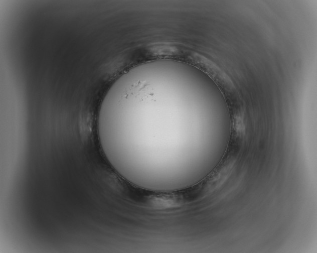 X0000102470567200808151431