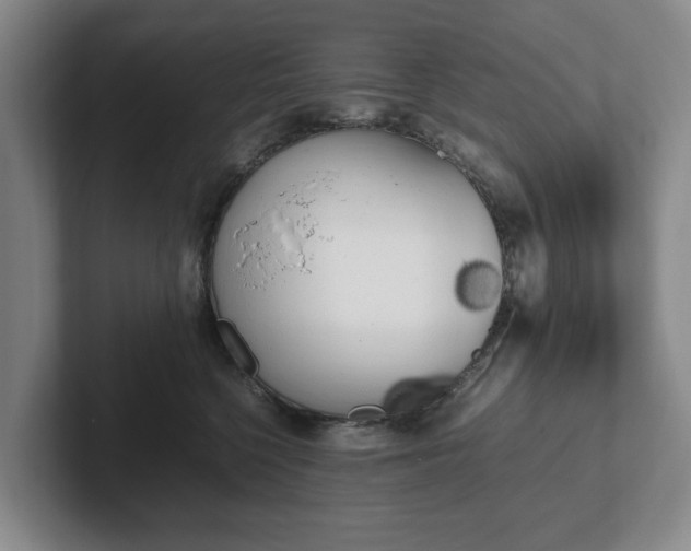 X0000102470568200808151431